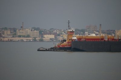 IMGP8366.JPG