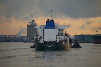 IMGP8373.JPG