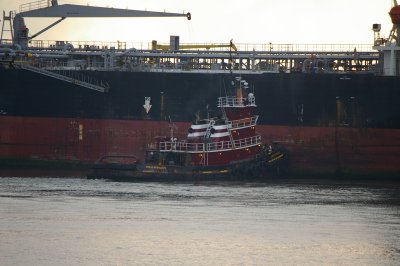 IMGP8375.JPG
