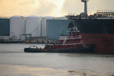 IMGP8377.JPG