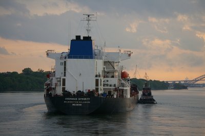 IMGP8382.JPG
