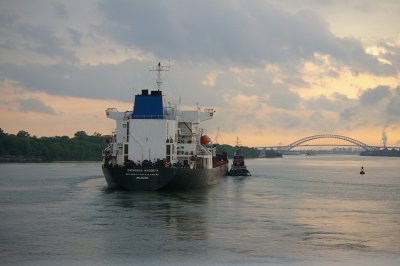 IMGP8383.JPG