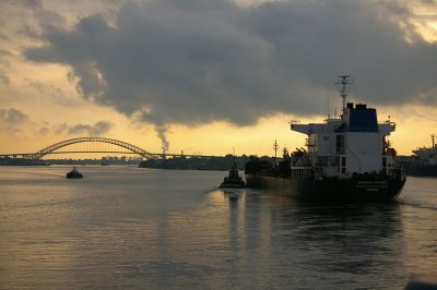 IMGP8389.JPG