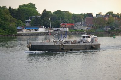 IMGP8390.JPG