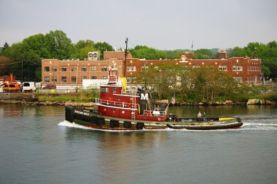 IMGP8399.JPG