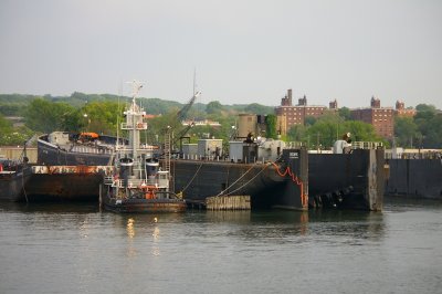 IMGP8403.JPG