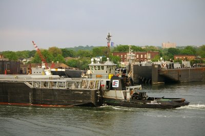 IMGP8409.JPG