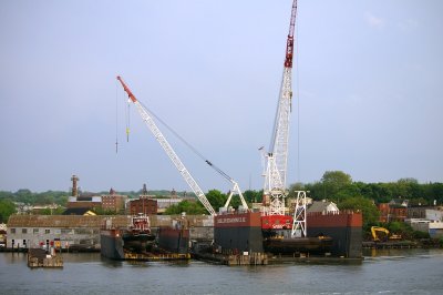 IMGP8411.JPG