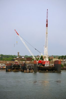IMGP8414.JPG