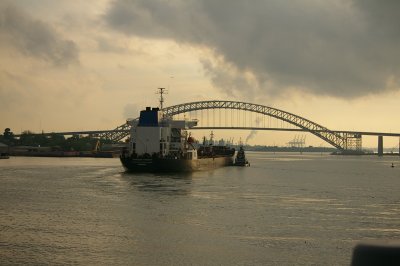 IMGP8417.JPG