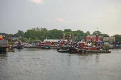 IMGP8423.JPG