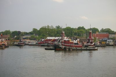 IMGP8424.JPG