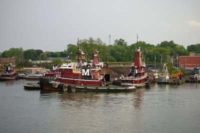 IMGP8426.JPG
