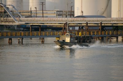 IMGP8435.JPG