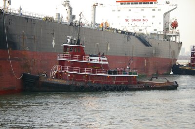 IMGP8442.JPG