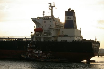 IMGP8446.JPG