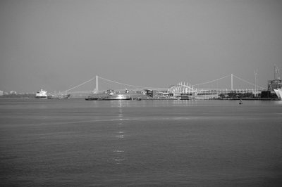IMGP8450.JPG
