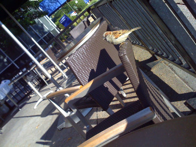 g1/65/778465/3/104823154.K8vTwIX5.jpg
