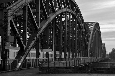 DSC_3854.jpg - The Hohenzollern Bridge