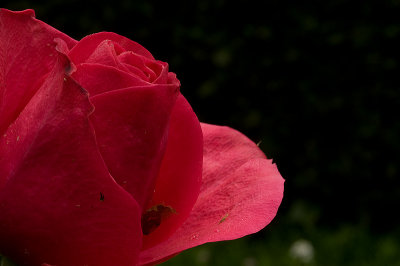 g1/65/827365/3/112584090.BplzBc8v.jpg