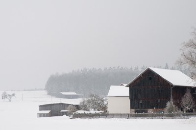 DSC_6130.jpg: Farm in the Snow