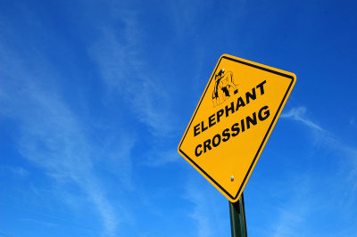 Elephant Crossing