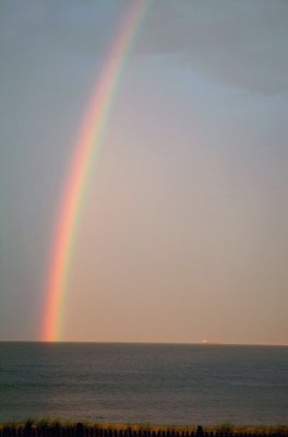 Rainbow vert D beach.jpg