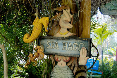 Sea Hagg 2009