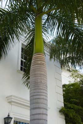 Babtist Church