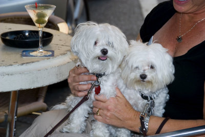 Martini's For Two