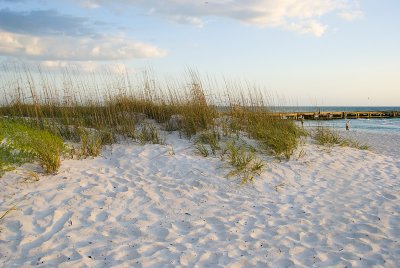 Coquina Beach Dunes