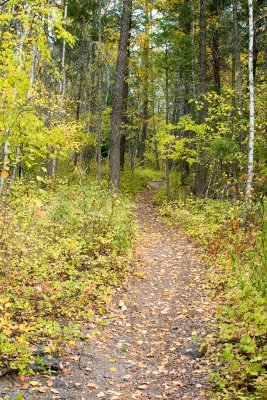 Les Mason Park Trail