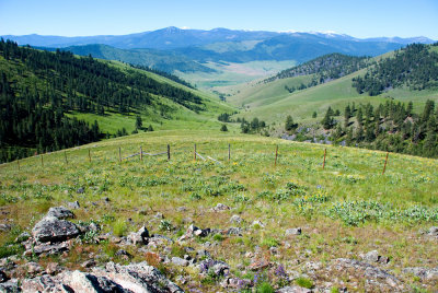 Vista at National Bison Range