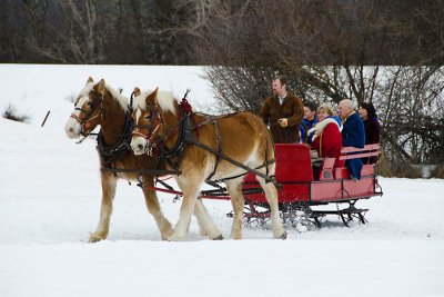 Winterfest Royalty