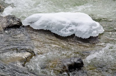 Swan River Ice