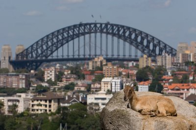 Sydney
