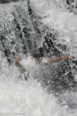 La douche