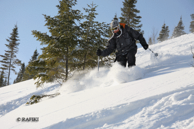 Photo-017.gif