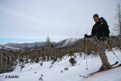 Photo-157.gif