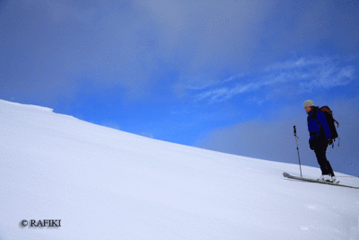 Photo-210.gif