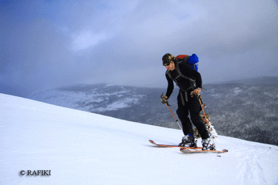 Photo-215.gif