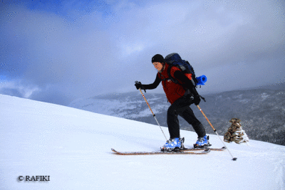 Photo-220.gif