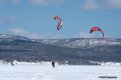 Photo-536.gif