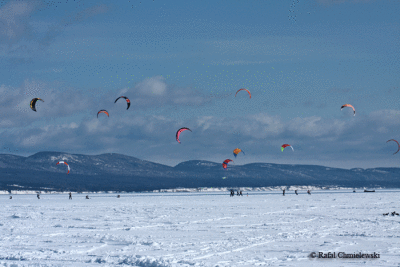 Photo-738.gif
