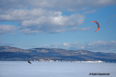 Photo-849.gif