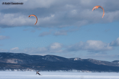 Photo-874.gif