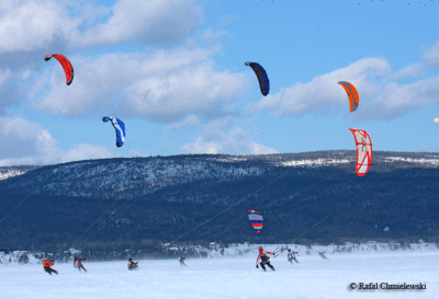 Photo-920.gif