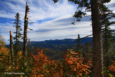 Photo-028.gif
