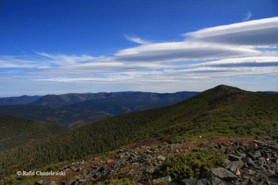 Photo-036.gif