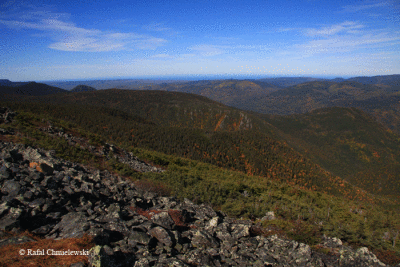 Photo-045.gif